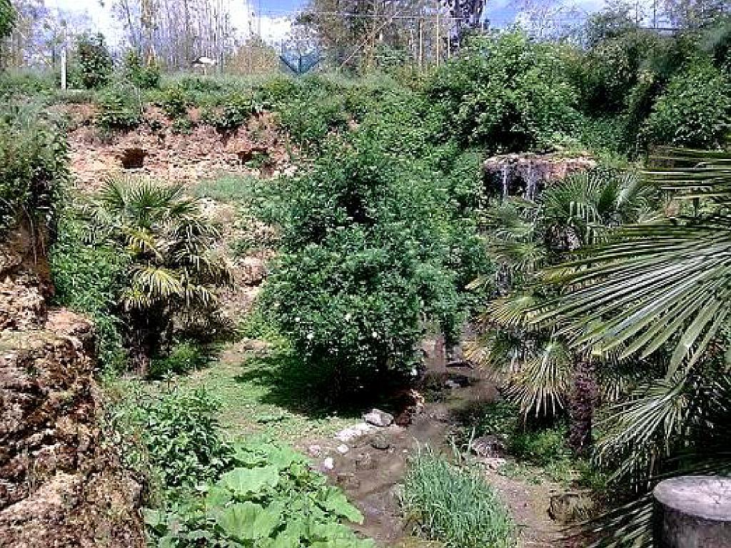 149 BIO PARC DE DOUE LA FONTAINE 4- 2016_000030.jpg